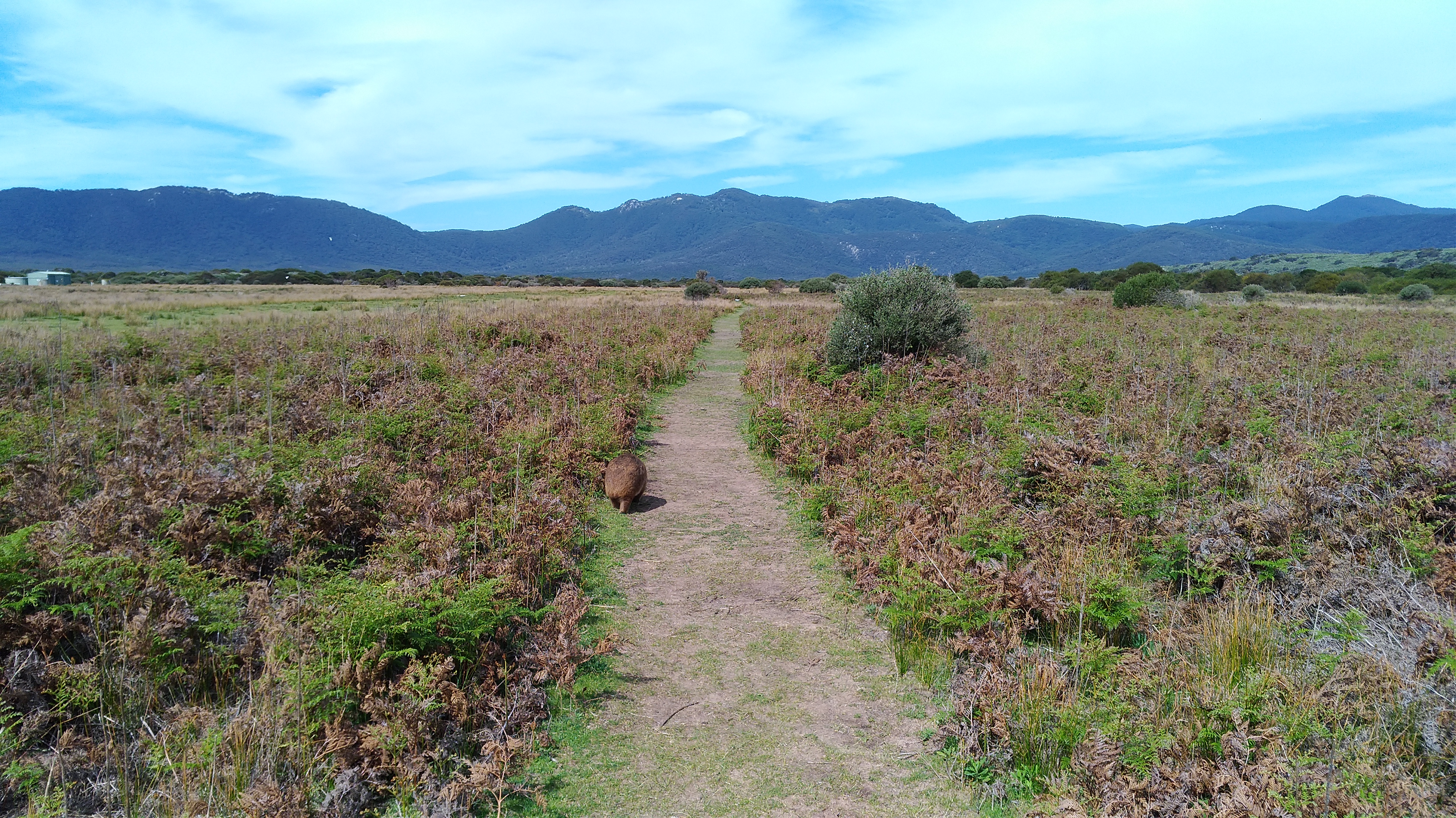 wilsons-prom-nature-walk