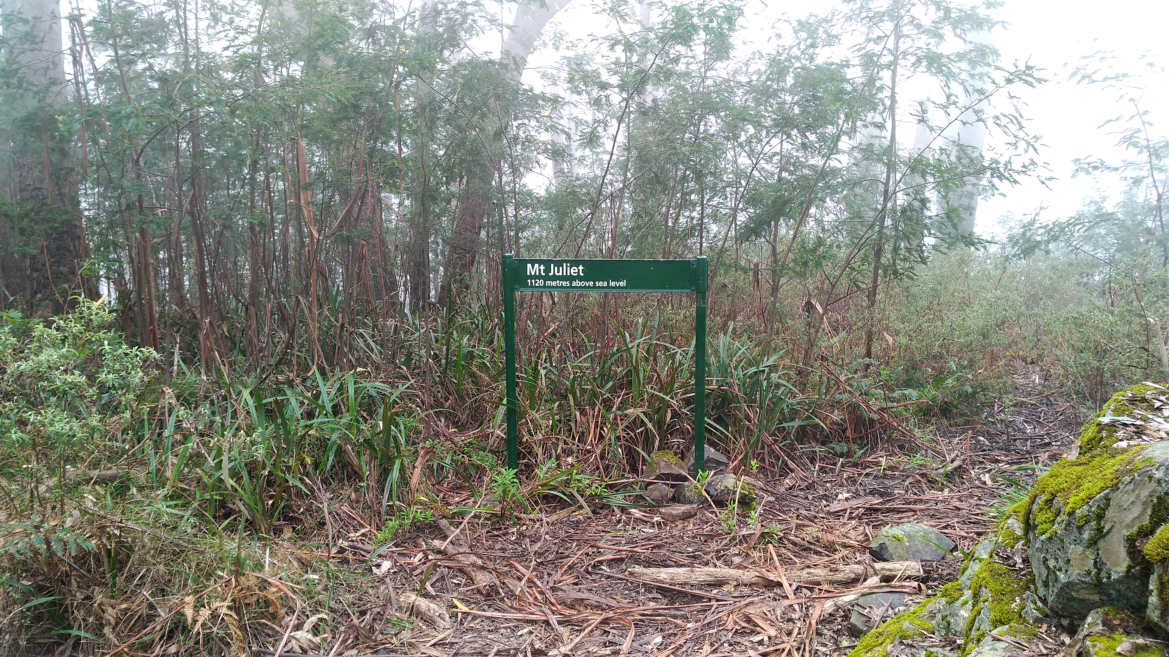 mt-juliet-summit-sign