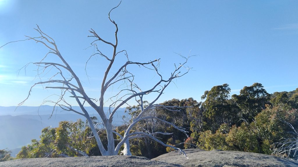 mt-buffalo-view-2