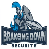 brakeing-down-security